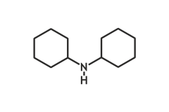Dicyclohexylamine, 99%