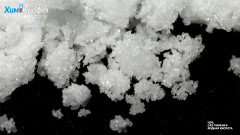 Periodic acid, 99.5% (pure p.a.)