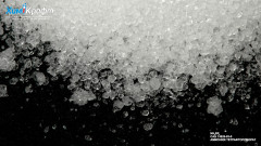 Ammonium tetrafluoroborate, 98.5% (pure)