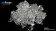 Beryllium nitrate tetrahydrate, 98% (puriss.)