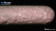 Erbium(III) chloride anhydrous, 99.99% (NW=40g)