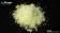 Samarium(III) nitrate hexahydrate, 99% puriss.